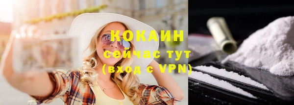 сатива Заводоуковск