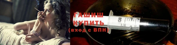 сатива Заводоуковск