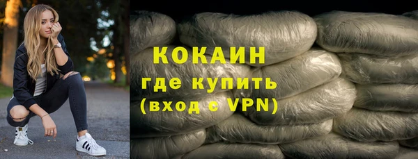 сатива Заводоуковск