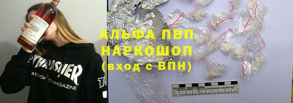 сатива Заводоуковск