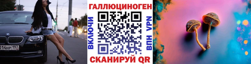 Купить где  Городище  Галлюциногенные грибы GOLDEN TEACHER 