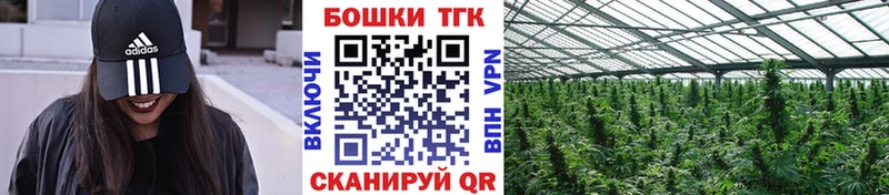 Каннабис Bruce Banner Городище